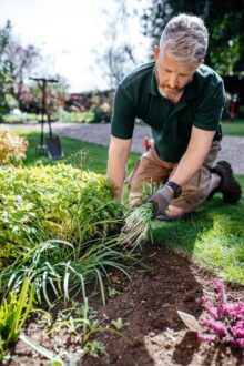 Gardener,Is,Working,In,Beautiful,English,Garden.