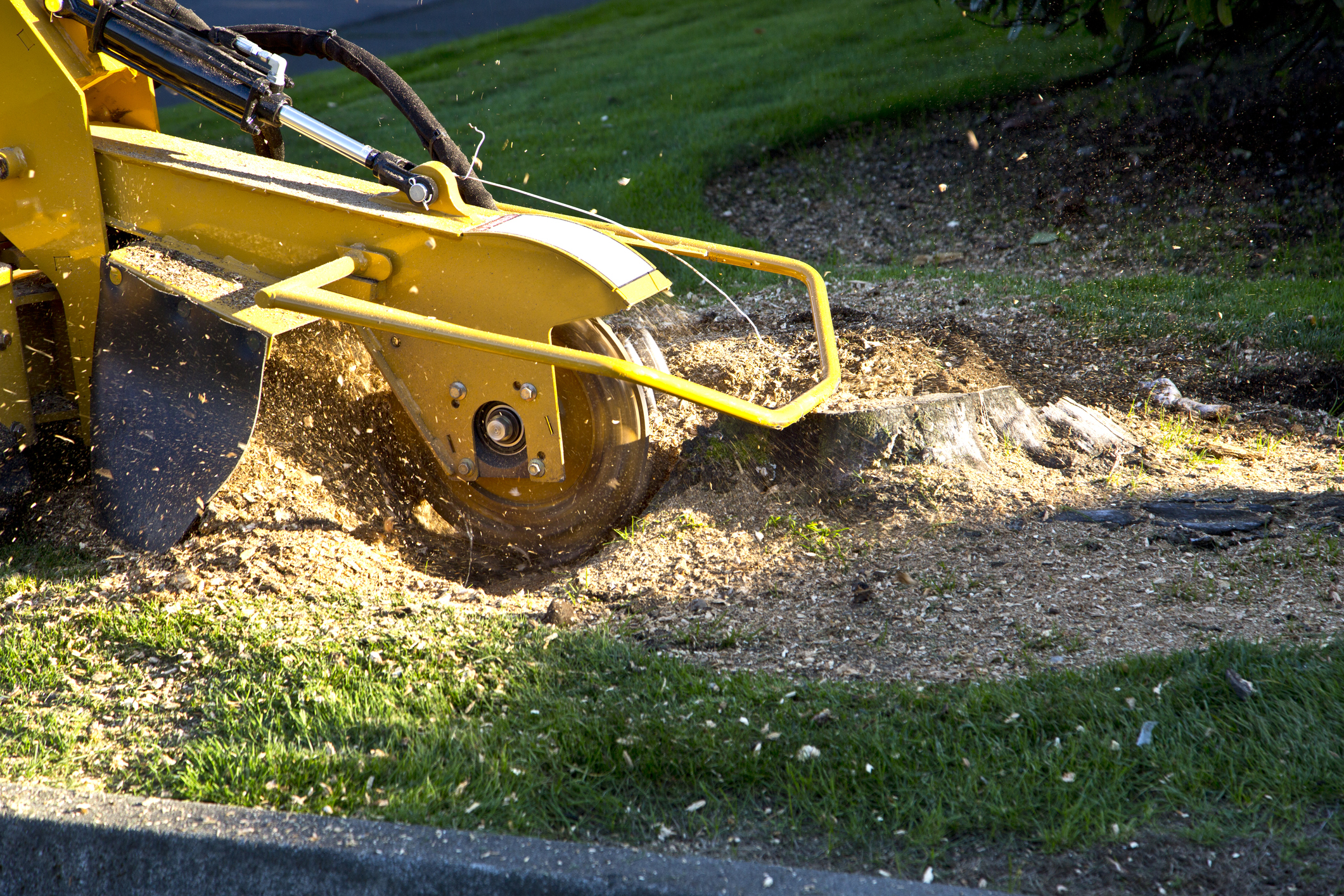 Stump Grinding