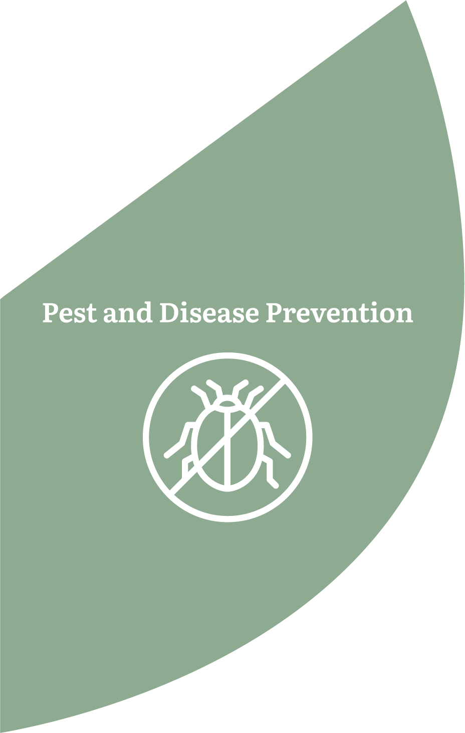 Pest and Disease Prevention