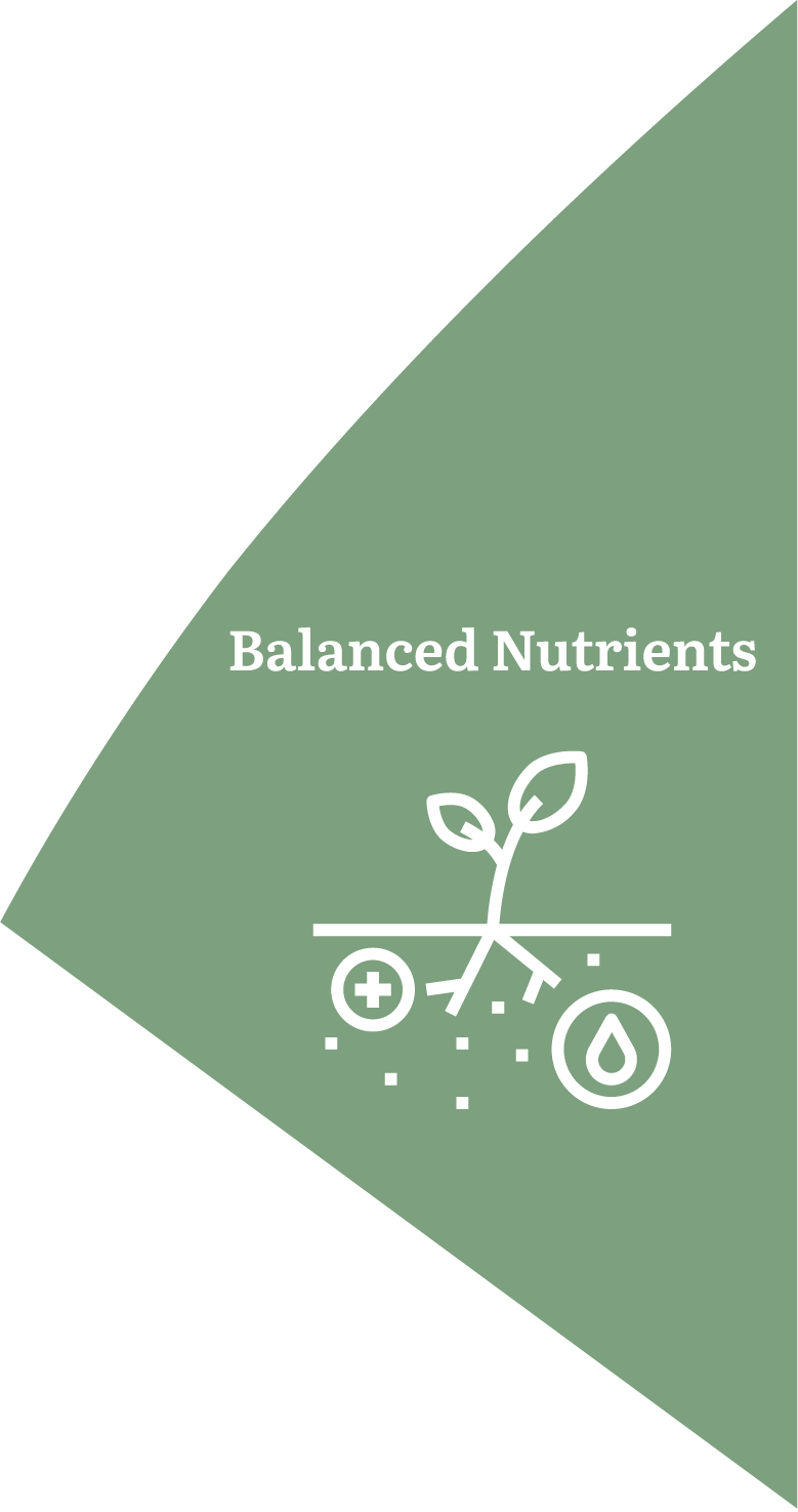 Balanced Nutrients